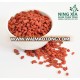 Ningxia China Goji berry wolfberry dried High quality wholesale